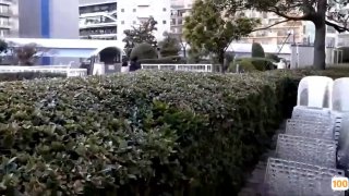 欧美激情av视频_欧美亚洲精品成人视频